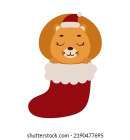 Cute little lion in Christmas sock. Cartoon animal character for kids cards, baby shower, invitation, poster, t-shirt composition, house interior. Vector stock illustration.