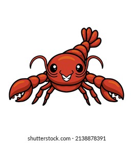 Cute little lobster cartoon character