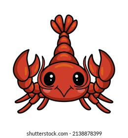 Cute little lobster cartoon character