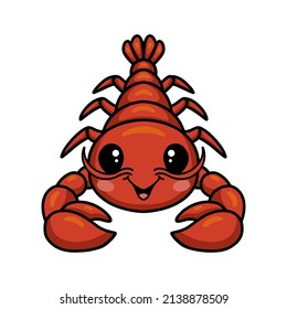 Cute little lobster cartoon character