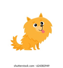 Cute little long haired Pomeranian, spitz dog character, cartoon vector illustration isolated on white background. Nice and friendly little spitz dog character, Pomeranian breed, cartoon illustration