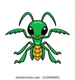 Cute little mantis cartoon character