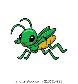 Cute little mantis cartoon character