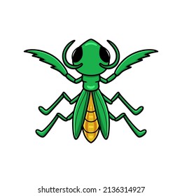 Cute little mantis cartoon character