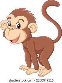 Cute little monkey cartoon on white background