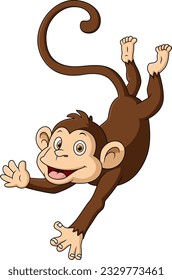 Cute little monkey cartoon on white background