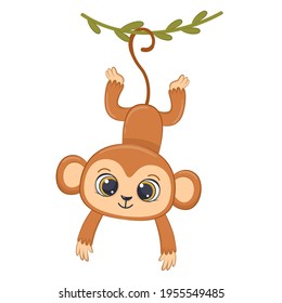 Cute little monkey hanging on the liana. Cartoon vector illustration.