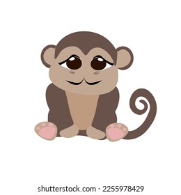 Cute Little Monkey Sitting Isolated