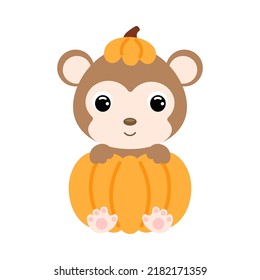 Cute little monkey sitting in a pumpkin. Cartoon animal character for kids t-shirts, nursery decoration, baby shower, greeting card, invitation. Vector stock illustration