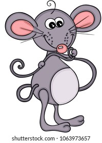 Cute little mouse