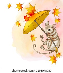 Cute little mouse flying on an umbrella with maple leaves. Autumn vector background with watercolor texture