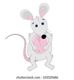 Cute little mouse isolated on white background