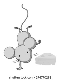 Cute little mouse next to the cheese