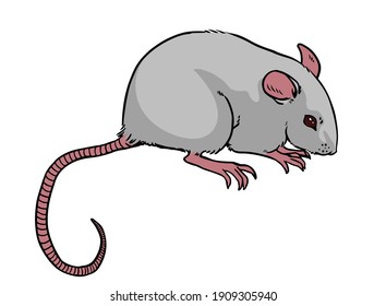 Cute Cartoon Rat Images Stock Photos Vectors Shutterstock