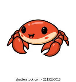 Cute little orange crab cartoon