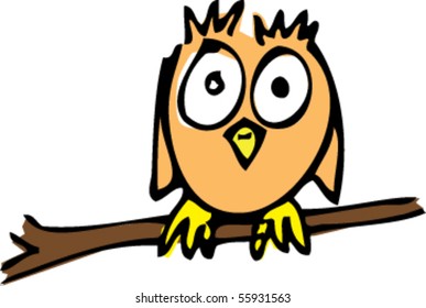 cute little owl