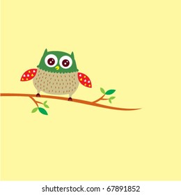 cute little owl