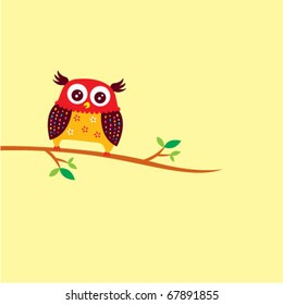 cute little owl