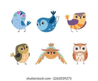 Cute Little Owl with Colorful Plumage as Woodland Nocturnal Bird Vector Set