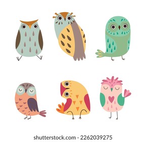 Cute Little Owl with Colorful Plumage as Woodland Nocturnal Bird Vector Set