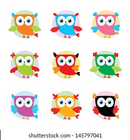 cute little owl vector