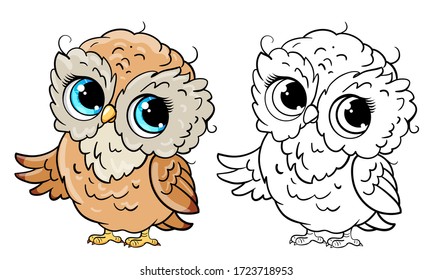 Cute little owl vector illustration