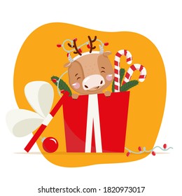 Cute little ox. Chinese new year 2021. Ox in gift box