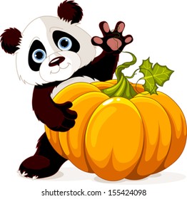 Cute little panda holding giant pumpkin  