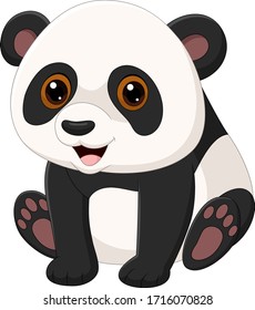 Cute little panda sitting isolated on white background