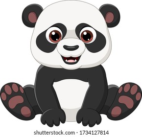 Cute little panda sitting isolated on white background