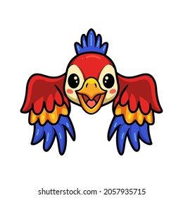 Cute little parrot cartoon flying