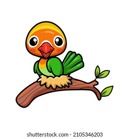 Cute little parrot cartoon on tree branch