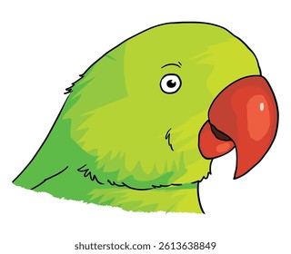 Cute little parrot vector illustration
