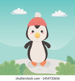 cute and little penguin in the field