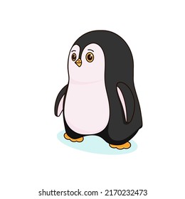 Cute little penguin looks straight ahead. Children's vector illustration, character