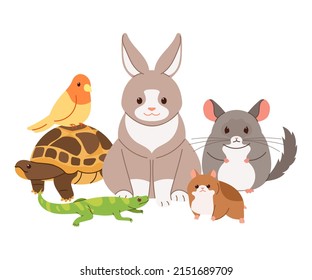 Ilustración vectorial de pequeñas mascotas. Conejo, tortuga, lagarto, chinchilla, hámster, pájaro.