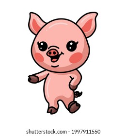 Cute little pig cartoon posing