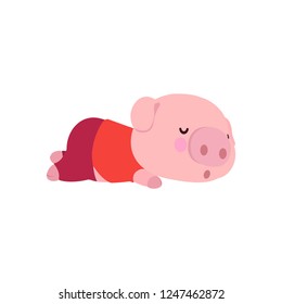 The Cute Little Pig. Chinese New Year. Year of the Pig vector design. flat illustration 