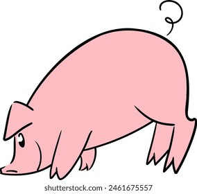 Cute little pig posing with the nose on the ground from side view	