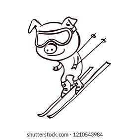 Cute little pig skiing. Symbol of the year 2019.