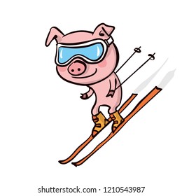 Cute little pig skiing. Symbol of the year 2019.