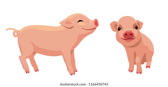 cute little piggy standing and sitting. minipig cartoon vector illustration