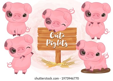 Cute little pigs in set in watercolor illustration