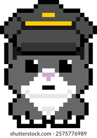 cute little pilot guinea pig