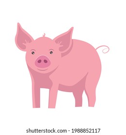 Cute little pink cartoon pig isolated  on white transparent background. Vector flat design children's illustration. Side view. Farm domestic animal drawing.