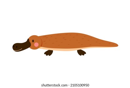 Cute little platypus isolated on white background. Funny Australian water animal drawn in cartoon style