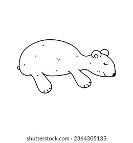 Cute little polar bear. Hand drawn doodle style. Vector illustration isolated on white. Coloring page.