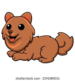 Cute little pomeranian dog cartoon sitting