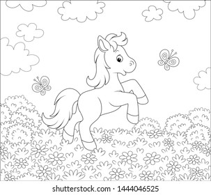 Cute little pony dancing with funny butterflies among flowers on a meadow on a sunny summer day, black and white outline vector illustration in a cartoon style for a coloring book
