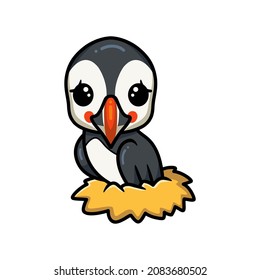 Cute little puffin bird cartoon in nest